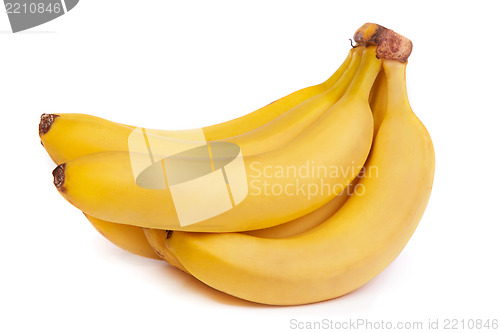 Image of A bunch of bananas isolated