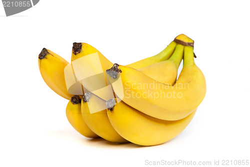 Image of A bunch of bananas isolated