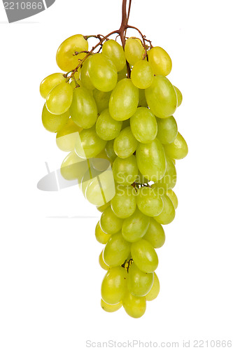 Image of Bunch of Green Grapes laying isolated