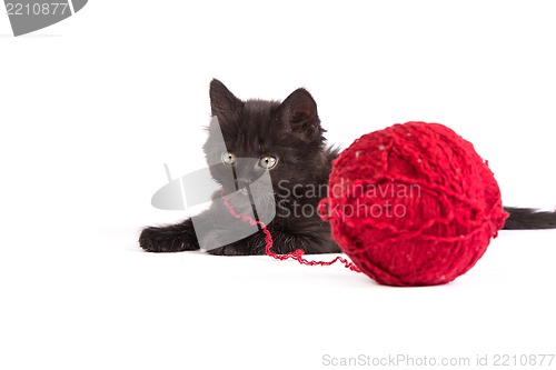 Image of Black kitten playing with a red ball of yarn on white background