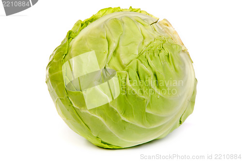 Image of Green cabbage isolated on white