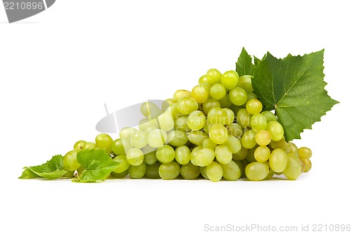 Image of Grape