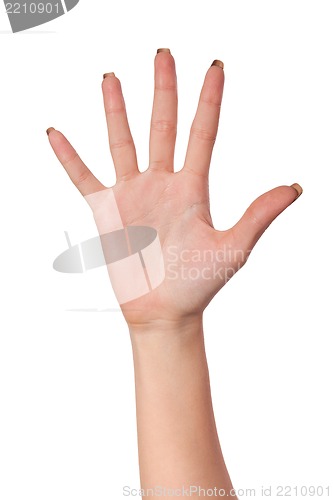 Image of Hand gesture number five closeup isolated on white