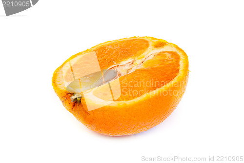 Image of Fresh orange and a half part of orange