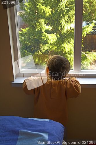 Image of baby looking outside