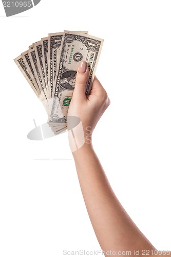 Image of Female hand holding money dollars isolated on white background