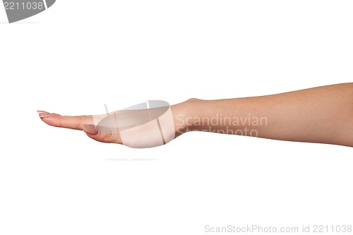 Image of Open palm hand gesture of Female hand