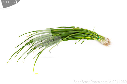 Image of Fresh scallions isolated on white