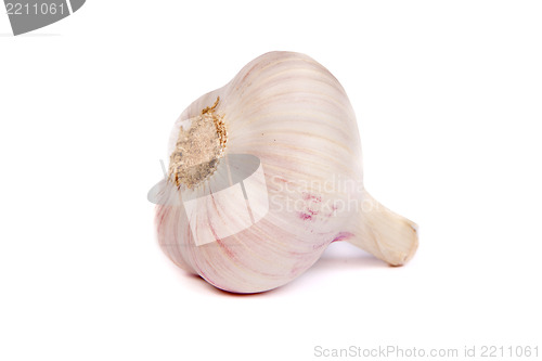 Image of A head of garlic isolated on white