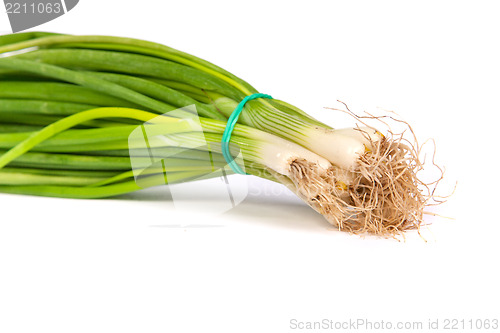 Image of Fresh scallions isolated on white