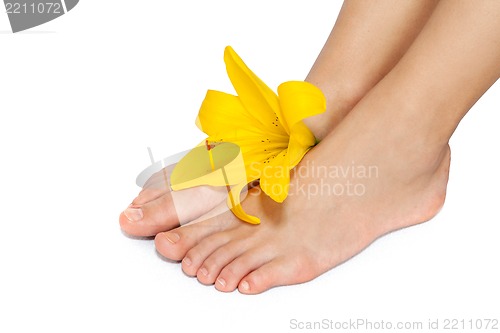 Image of Beautiful woman legs with flower , isolated on white