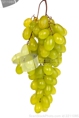 Image of Bunch of Green Grapes laying isolated