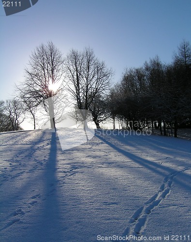 Image of Footsteps In Snow