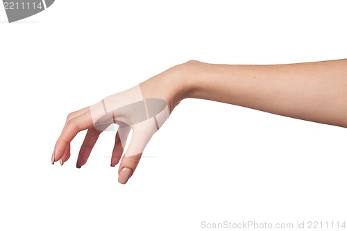 Image of Female hand reaching for something on white