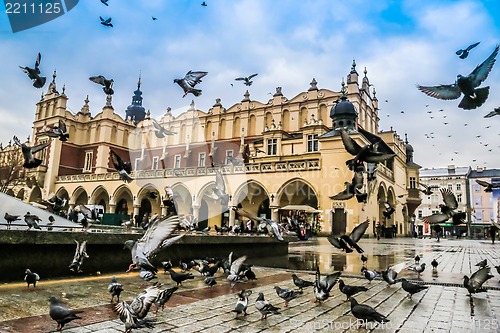 Image of A lot of doves in Krakow old city.