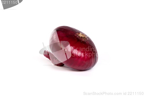 Image of One red onion, isolated on white
