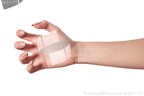 Image of Female hand reaching for something on white