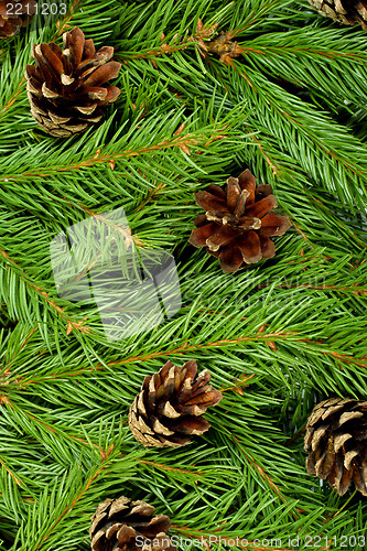 Image of Christmas background. Eve framework