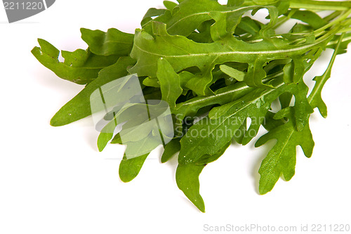 Image of Arugula/rucola  fresh heap leaf on white