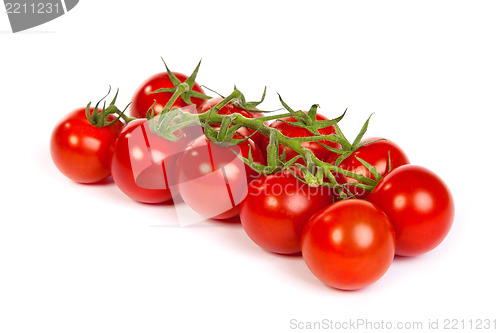 Image of Juicy organic Cherry tomatoes isolated