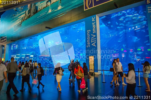 Image of Largest aquarium of the world in Dubai Mall