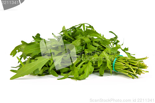 Image of Arugula/rucola  fresh heap leaf on white