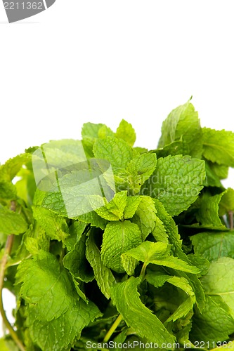 Image of mint leaves on white background
