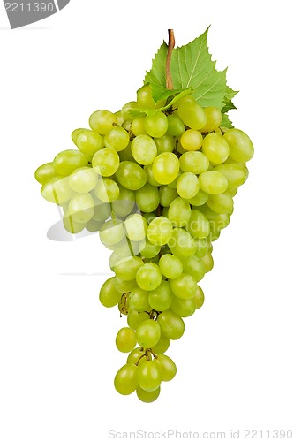 Image of Bunch of Green Grapes laying isolated