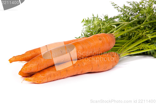 Image of Bunch of fresh carrot isolated on white