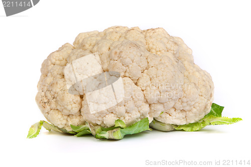 Image of Cauliflower isolated on white