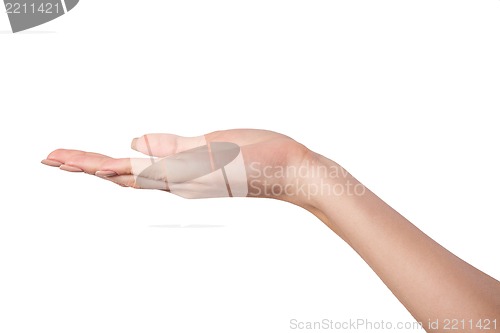 Image of Open palm hand gesture of Female hand