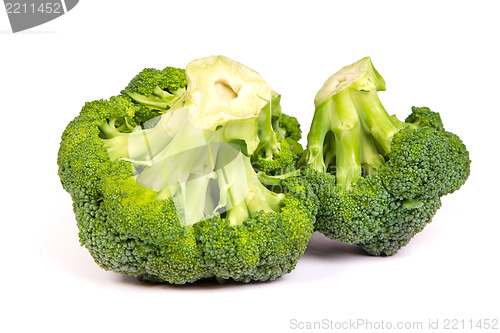 Image of Single broccoli floret isolated on white