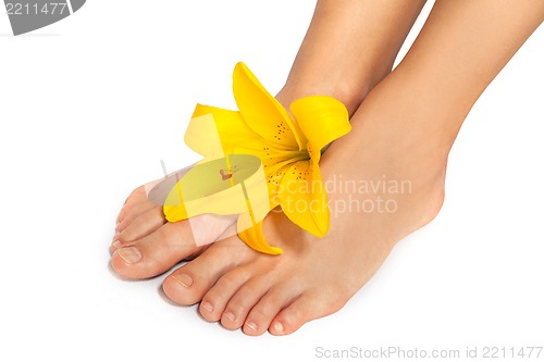 Image of Beautiful woman legs with flower , isolated on white