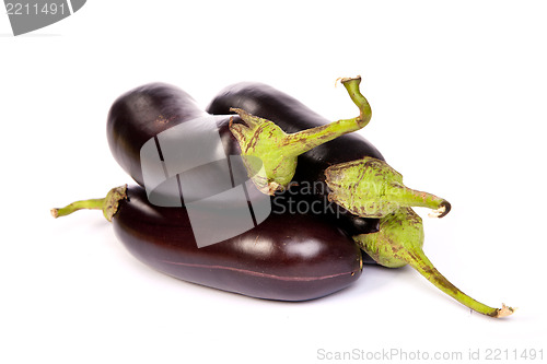 Image of Three large eggplant, over white background