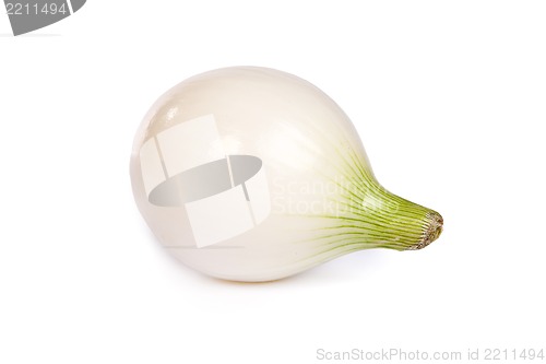 Image of One onion, isolated on white