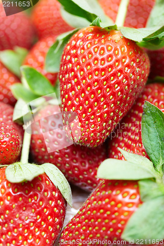 Image of Fresh strawberry