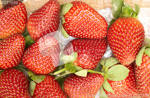 Image of Fresh strawberry