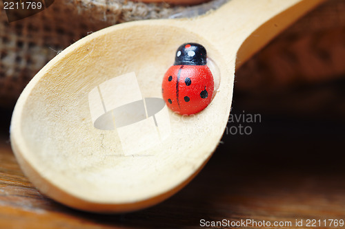 Image of Ladybird on spoon