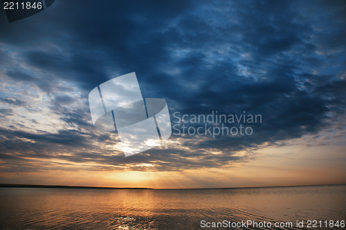 Image of Beauty of the sea