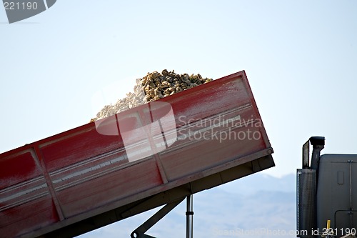 Image of sugar beet harvest