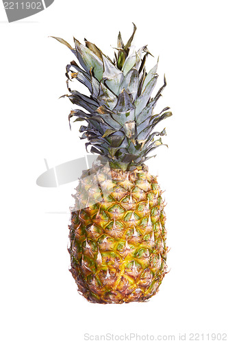 Image of Pineapple