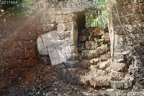 Image of Old ruins in the jungle of India