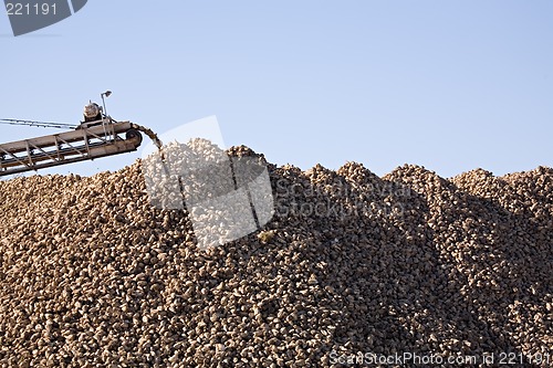 Image of sugar beet industry