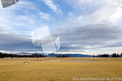 Image of yellowstone