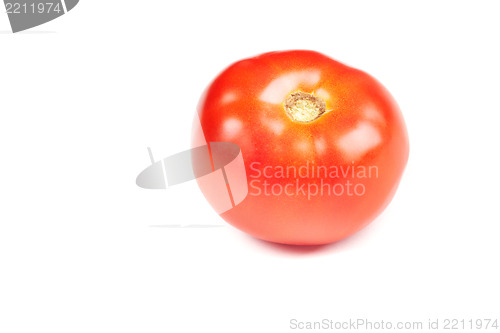 Image of Tomato