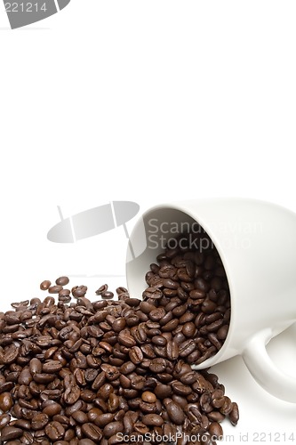 Image of spill the beans
