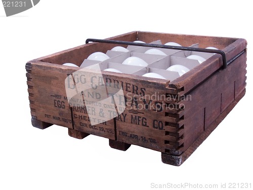 Image of 100 year old egg carton