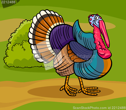Image of turkey farm bird animal cartoon illustration