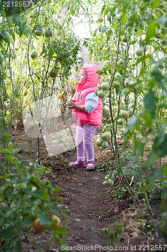 Image of Lovely girl in hothouse with tomato plants