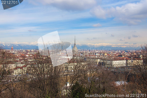 Image of Turin view